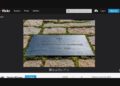 President John F. Kennedy Assassination Attempt | Michelle Stefanick