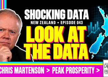Chris Martenson, Peak Prosperity — Shocking Data, Episode 043 — Look At The Data
